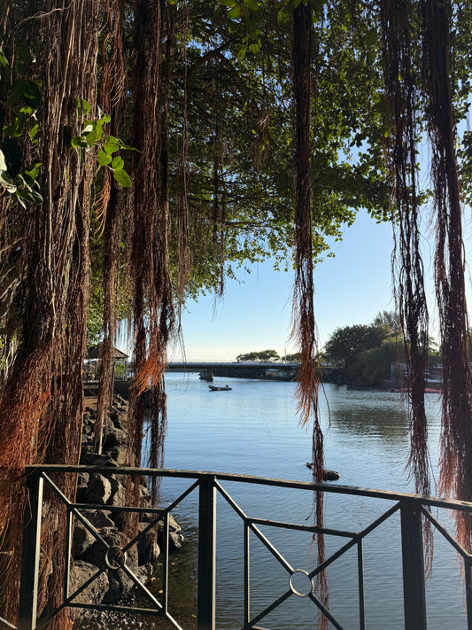 Affiche Saint-Pierre - Fenêtre d'évasion