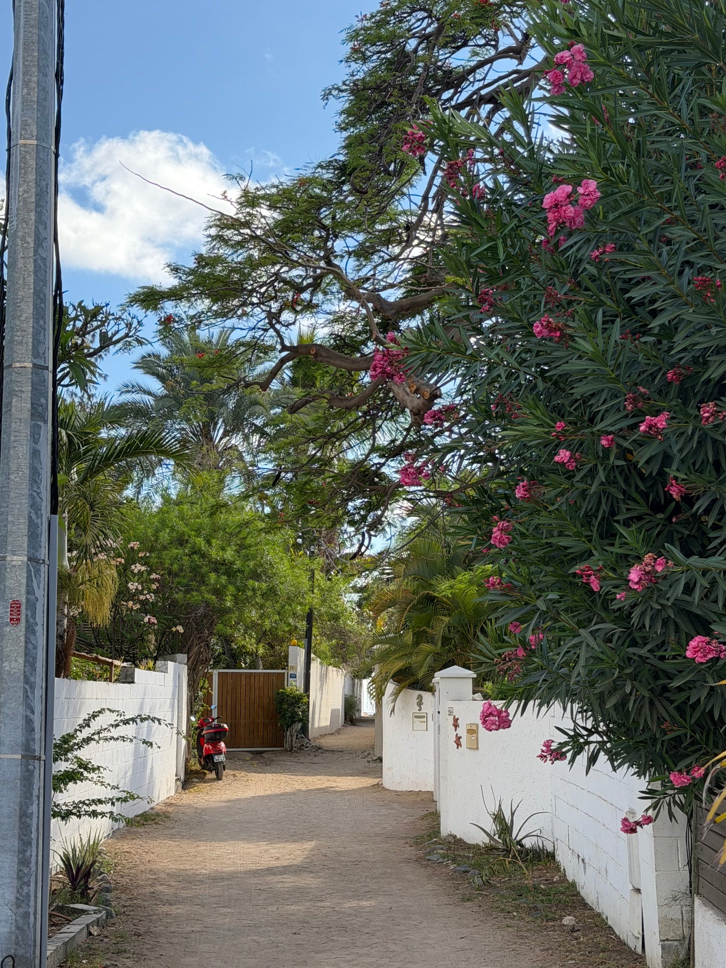 Affiche – Le chemin vers la mer