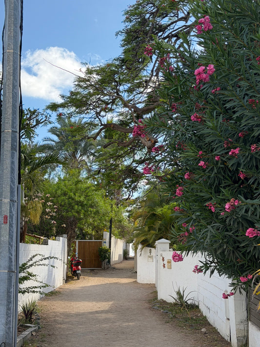 Affiche – Le chemin vers la mer